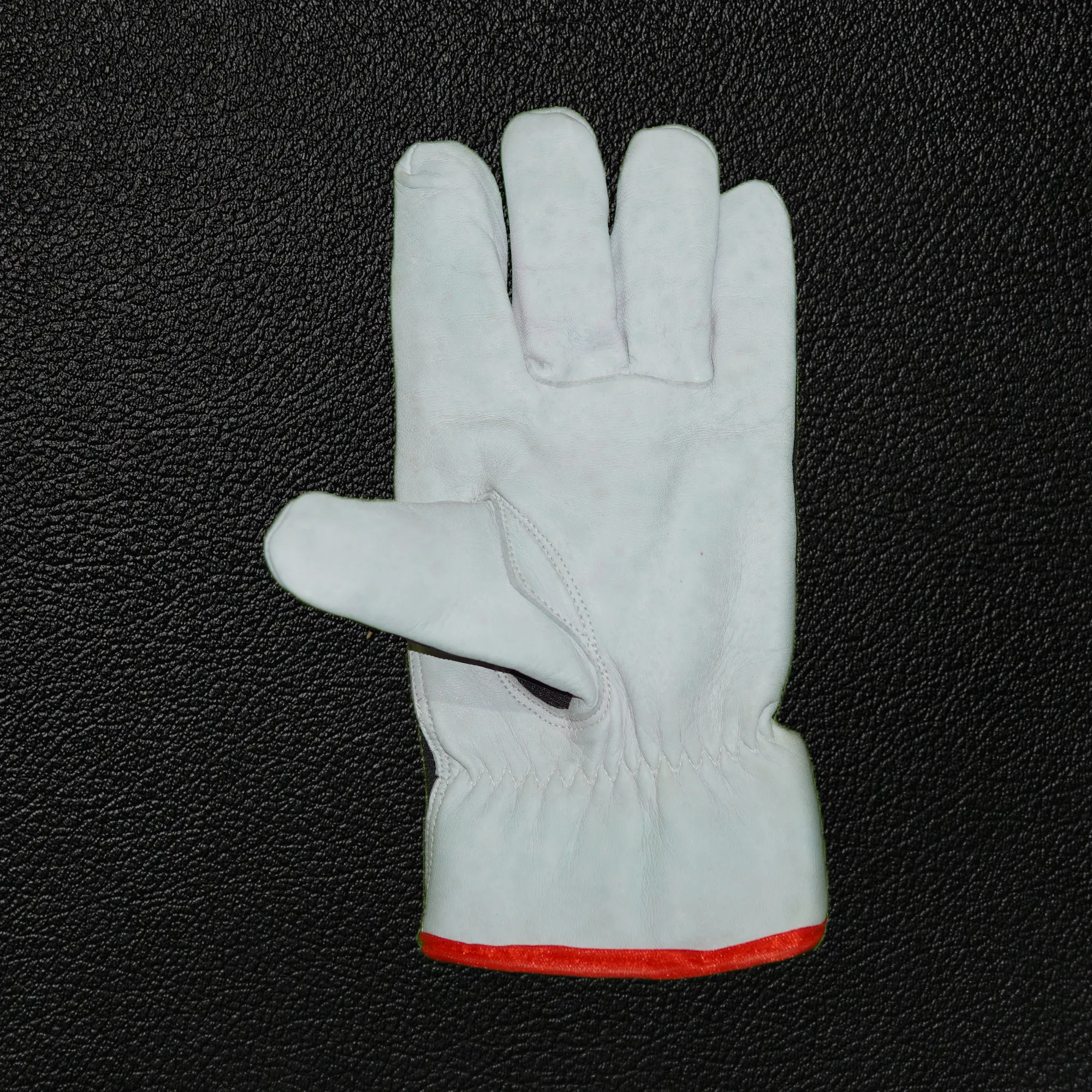 FBSG 501 (3)